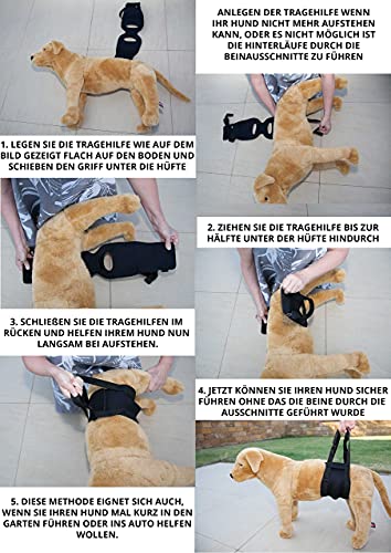 Nature Pet © - Tragehilfe Hund hinten - Verstellbarer Hunde Tragegurt als Treppenhilfe - Ideal für ältere, kranke oder operierte Vierbeiner - Praktische Unterstützung für Mobilität (L, Blau)