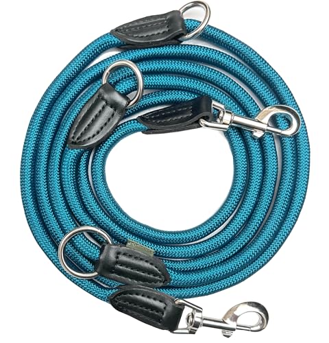 Leisegrün Verstellbare Hundeleine 3m - Robuste Nylon Doppelleine für mittelgroße bis große Hunde, 200kg Zugkraft, 2 Karabiner - Petrol