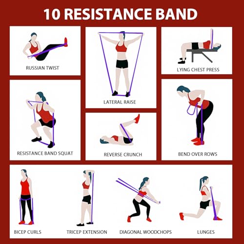 Image of LEEKEY Pull Up Assistance Bands,5-125LB Resistance Bands with Grip、Door Anchor、Gym Bag - Exercise Bands for Full-Body Training, Fitness, Physical Therapy -USA Original Patent