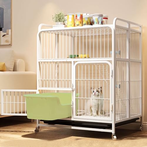 Jeu de chat pliable pour intérieur avec cage haute et hamac intégré