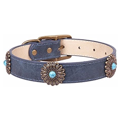 Tangser Basic Classic Padded Leather Pet Collars for Medium Dogs (blue,1 pcs) Cover