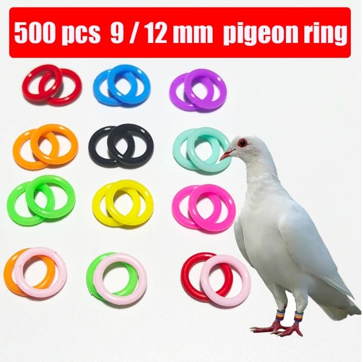 Anneaux de jambe d'identification de poulet pigeon 9mm 12mm multicolore