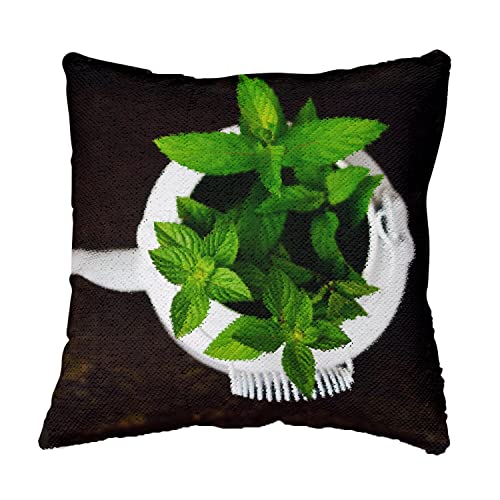 Coussin Sequin Paillettes Noir Menthe Verte pour décoration