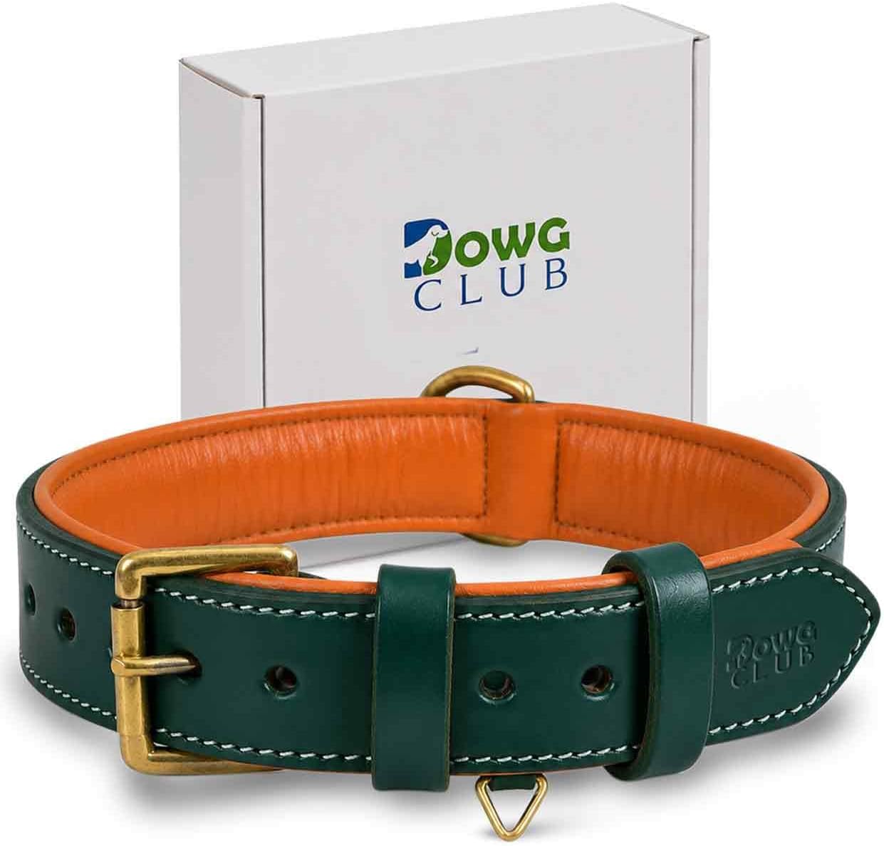 DowgClub Genuine Leather Dog Collar, Green, Medium, Soft Leather Padding