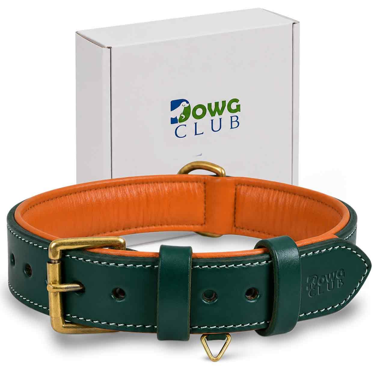 DowgClub Genuine Leather Dog Collar, Green, XL Large, Soft Leather Padding