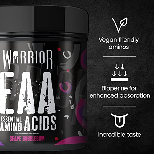 Warrior EAA - Image 4