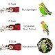 SUPERFINDINGS 9 Stück 3 Größen 3 Farben Kunstwildleder Vögel Fußringe Papagei Beinbänder Öffnungsfüße Ring Für Tauben Tauben Küken Bantam Wachtel Lovebirds Finch