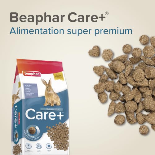 BEAPHAR – Care+ – Alimentation Super Prenium pour Lapin extrudée – 25% de Fibres – Appétent, sans Sucre ajouté ni Colorant – Haute digestibilité – Participe à l’Usure Naturelle de Dents – 5 kg – vue 3