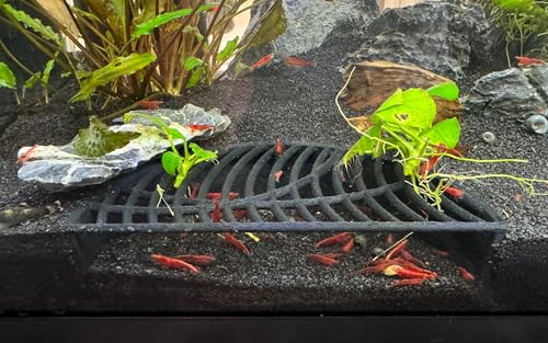 LifeWithPets Shrimp Breeding Hide | Shrimp Cave | Shrimp Hide | Tunnel | Black