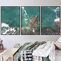 3 Piece Framed Canvas Wall Art Turtle Under The Surface Canvas Prints Home Artwork Decoration for Living Room,Bedroom - 16