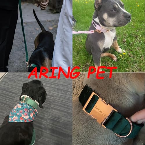 ARING PET Hundehalsband und Leine aus Samt, Niedliches Rotes Hundehalsband und Leine, Verstellbares Halsband aus Weichem Samt mit Metallschnalle für Kleine Mittelgroße Große Hunde