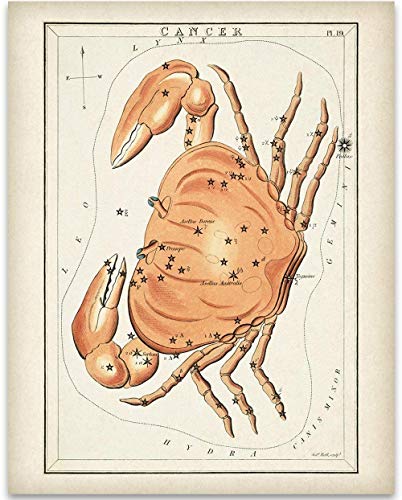 Astrology Posters - Cancer Zodiac Crab Antique Constellation Poster - 11x14 Unframed Art Print - Great Vintage Zodiac Poster, Astrology and Aptitude Vintage Home Wall Decor for Astrology Enthusiasts