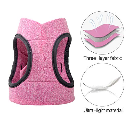 Heywean Cat Harness and Leash - Ultra Light Escape Proof Kitten Collar Cat Walking Jacket with Running Cushioning Soft and Comfortable Suitable for Puppies Rabbits
