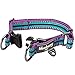 Blueberry Pet Safety Dog Collar with Dual D-Rings | 3M Reflective Multi-Colored Adjustable Collar in Violet and River Blue | Soft Nylon Dog Collar for Active Large Dogs
