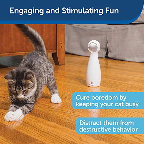 PetSafe Bolt Automatic, Interactive Laser Cat Toy Adjustable Laser