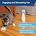 PetSafe Bolt Automatic Laser Light Cat Toy - Interactive Laser Toy - Encourages Exercise - Hands Free or Manual Play - Adjustable Mirror - Battery Operated - Safe for Cats