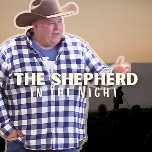 The Shepherd in the Night