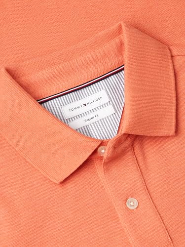 Image of Tommy Hilfiger Men's Short Sleeve Polo Shirts in Regular Fit With Stretch and Organic Pique Cotton