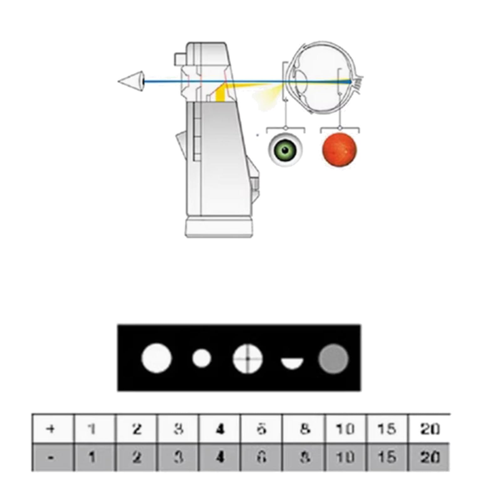 Oftalmoscopio Portatile a LED, Otoscopio Dell'orecchio, Microscopio Portatile Ottico, Ingrandimento 3X, per Oftalmologico, Laboratorio, Ospedali per Animali Domestici