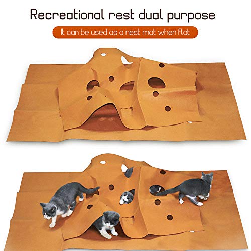 Nishore Tapetes para gatos Tapetes de treinamento para gatos Tapete interno para animais de estimaçã