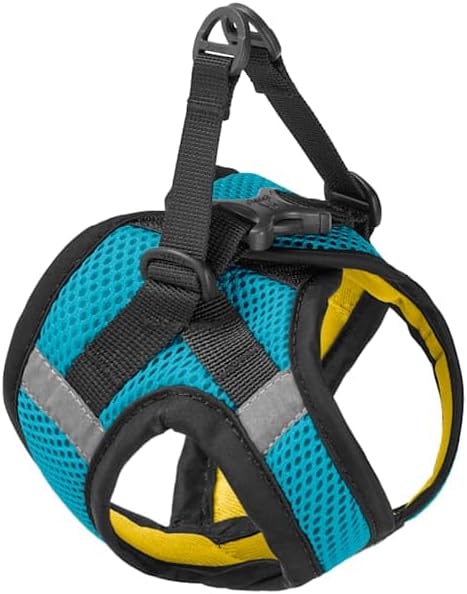 Amazon.com : Gooby Pet, Everyday Mesh Dog Harness for Small Breeds Blue XX-Small/X-Small : Pet Supplies