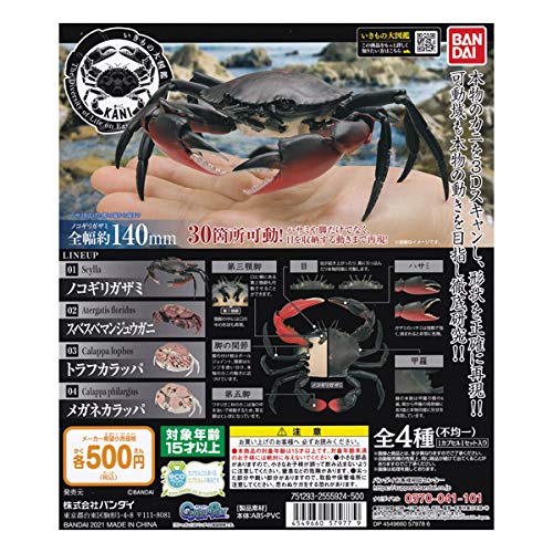Amazon.co.jp: いきもの大図鑑 かに KANI トラフカラッパ＆メガネ