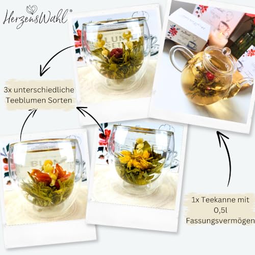 HerzensWahl Teeblumen Geschenkset mit Kanne | 6x Teeblumen, 1x Teekanne & Geschenkbox | Erblühtee | Teerosen Probierset | grüner Tee – Teeblumen & (Teekannen Set) für Teeliebhaber