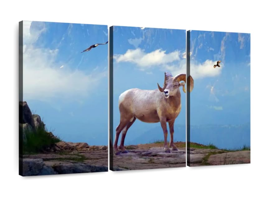 Impression sur toile Mountain Sheep premium | Affiche murale triptyque encadrée