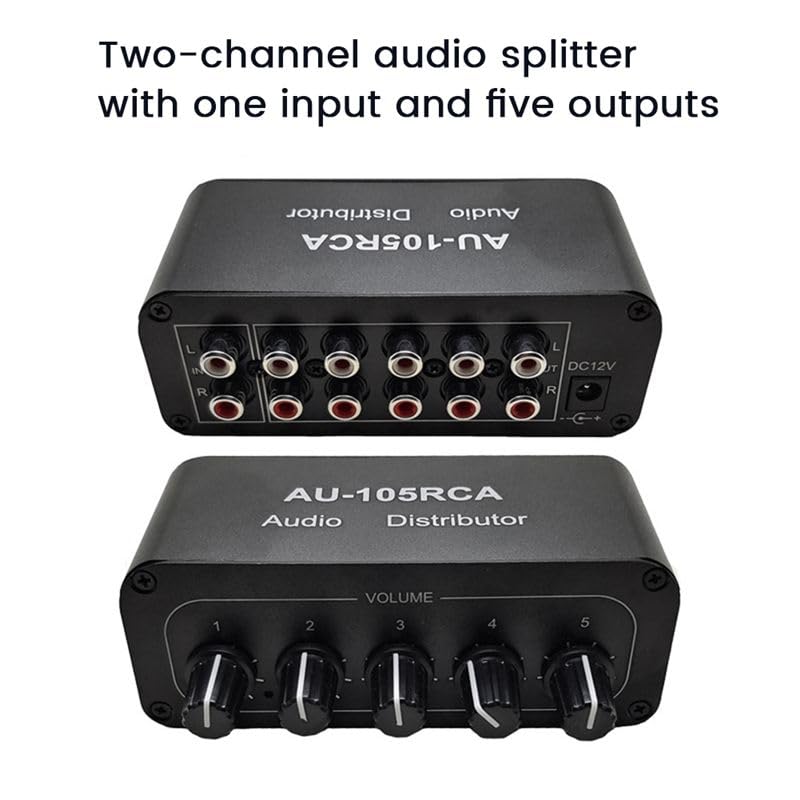 Stereo Audio Distributore Mixer 1 Ingresso 5 Uscita per Amplificatore Attivo
