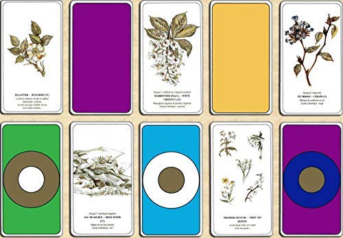 Cofanetto meditazione – 77 carte e manuale – Come curare da Les Fleurs – Gioco di carte divinatorie