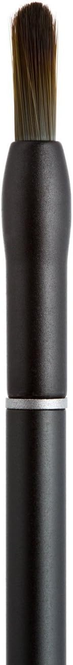 Drawing Stylus for iPad or Tablets by Nomad Brush | Compose Dual Brush Nomad Stylus with Dual Tip Paint Brush Stylus