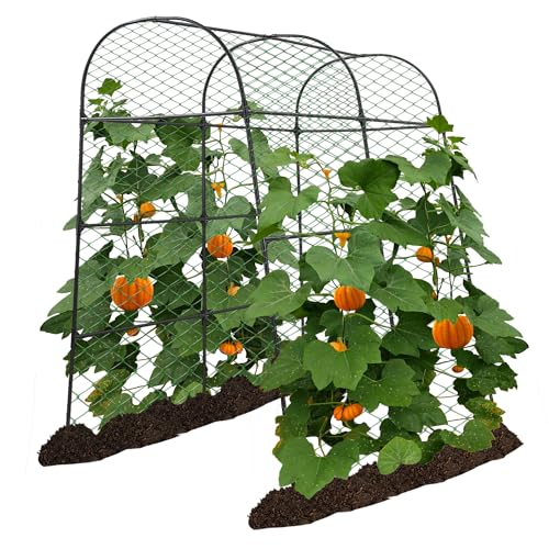 AlisisFores Garden Arch Trellis for Climbing Plants Outdoor 7.2 ft Height Large Tunnel Trellis Support for Vegetables Plant Cucumber Trellis for Garden Raised Bed, Black
