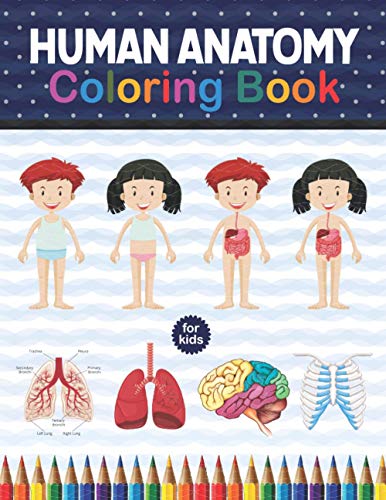 Human Anatomy Coloring Book For Kids: Human Body Anatomy Coloring Book For Kids, Boys and Girls and Medical Students. Human Brain Heart Coloring Book. ... Medical Book for Middle School Students.