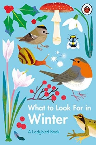 What to Look For in Winter (A Ladybird Book) Kindle Edition