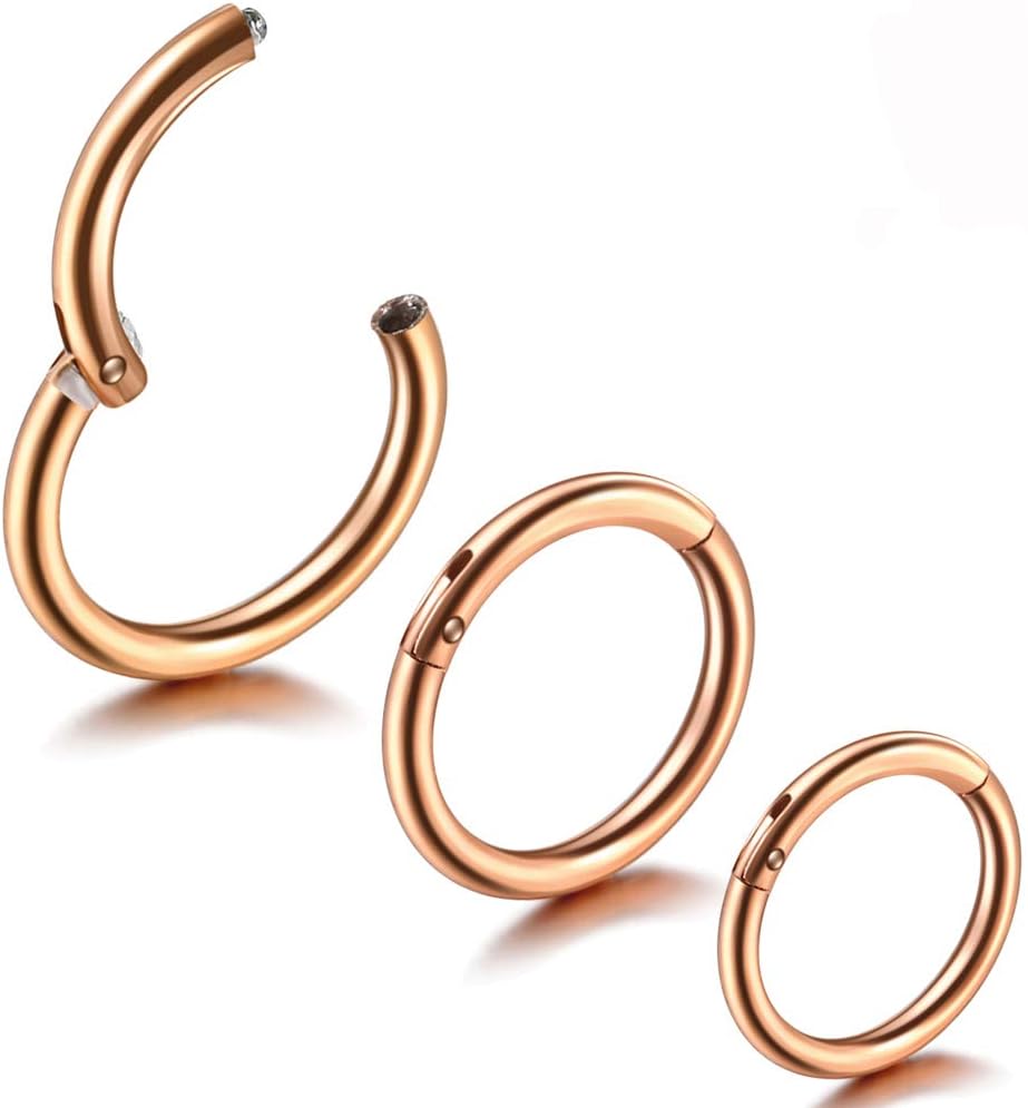 Jusway Rose Gold Earrings Septum Jewelry Small Hoops Earrings Titanium Nose Hoop Hinged Daith Earring 16G Clicker Hoop Rook Rings(3pcs)