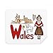 Wales National Symbol Landmark Pattern Cleaning Cloth Screen Cleaner 2pcs Suede Fabric