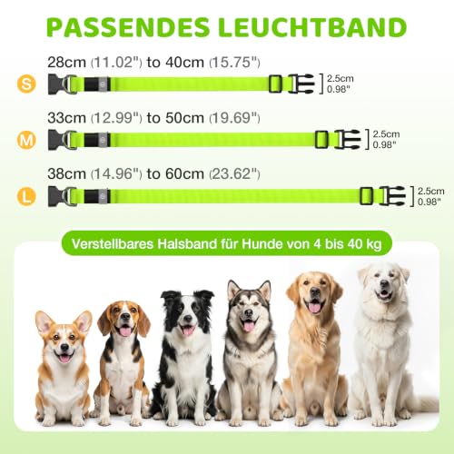 Leuchthalsband Hund, LED Hundehalsband Wiederaufladbar USB-C, Regendicht – Ansicht 6