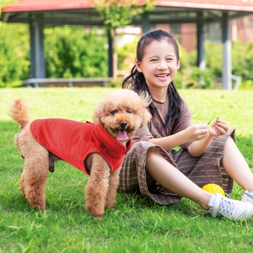 2 Stück Hundepullover Kleine Hunde, yisight Hundemantel, Hundebekleidung & Zubehör, Hundemantel für Kleine Hunde, (S-Code) Schwarz und Rot, Haustierbekleidung
