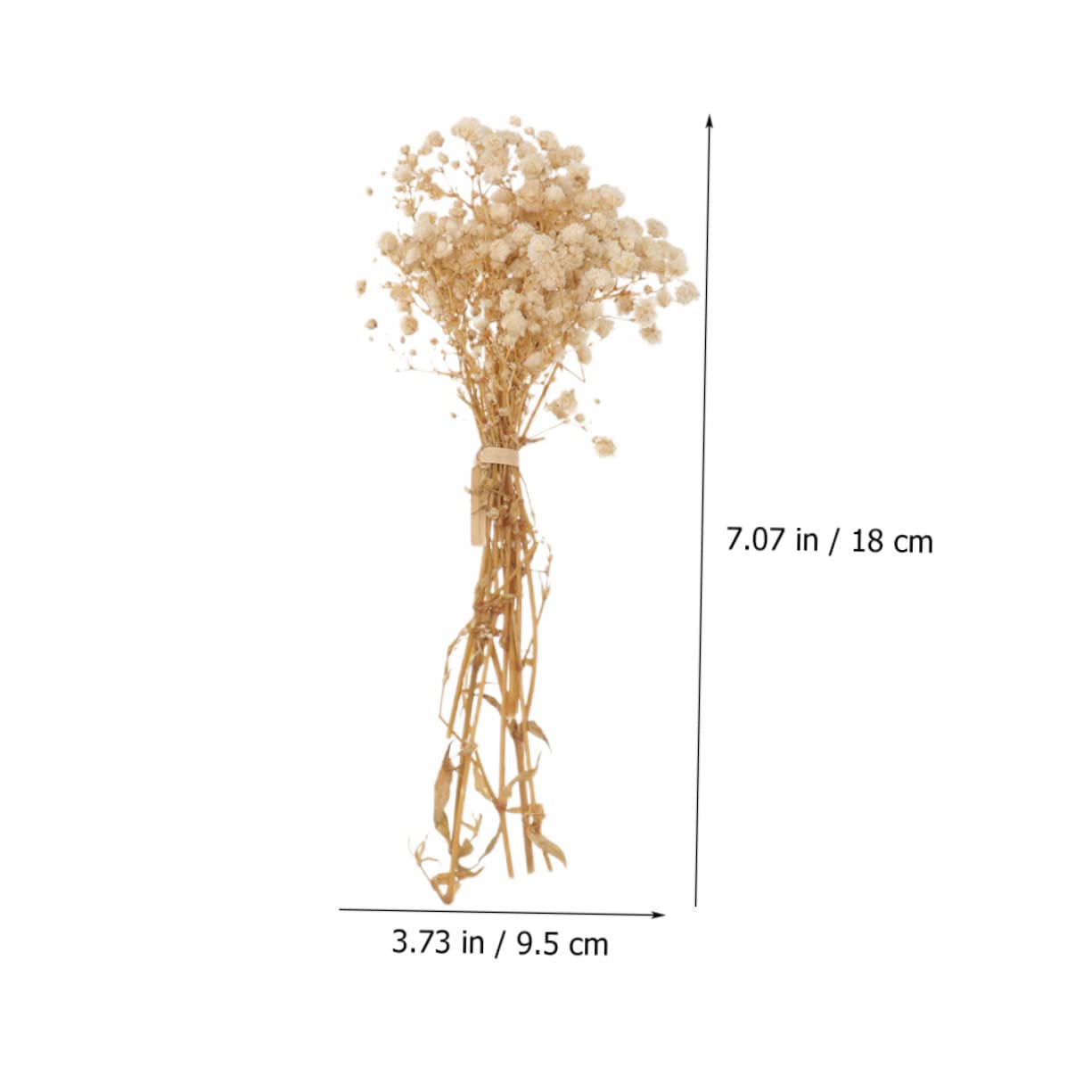 Cabilock 4 Pièces 10 Petit Bouquet de gypsophile Fleurs séchées Bouquet séché sachets bouda Decoration Interieure Fleur sechees Ornement de Bouquet créatif Faux Bouquets décoratifs Beige