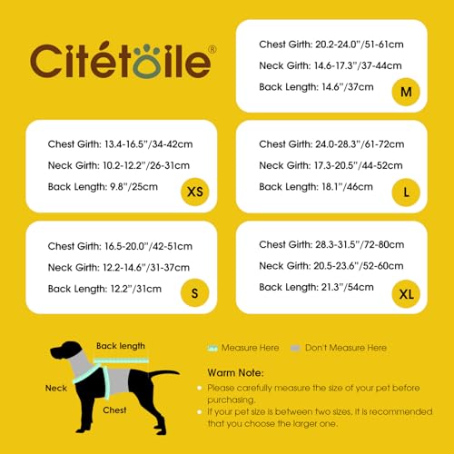 CITÉTOILE Warme Hundemantel Fleece, Wintermantel Winterjacken für Kleine/Große/Mittlere Hunde, Hundejacke Hundekleidung Hundepullover mit Geschirrloch für Outdoor Indoor, Beige, S