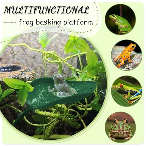 View 5