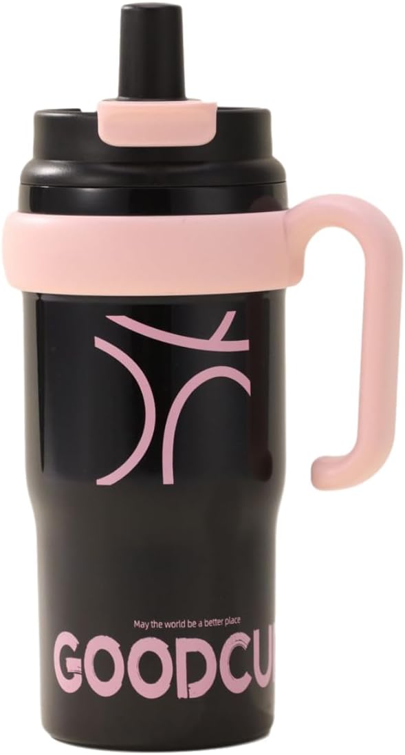 23.5oz Large Capacity Insulated Sports Water Bottle with Straw & Handle, 316 Stainless Steel Leak-Proof Tumbler, BPA-Free, Perfect for Travel, Gym, Hiking, & Office Use (Black)