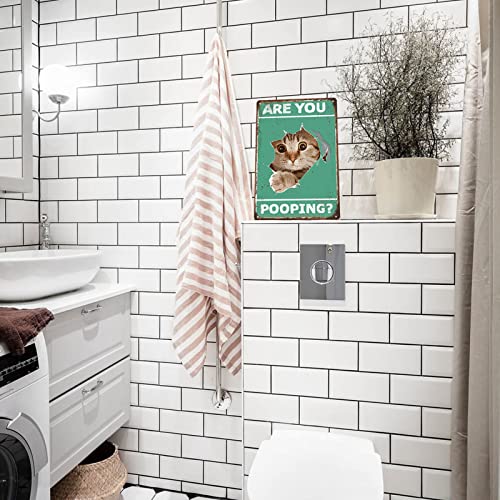 Gocolt Funny Bathroom Wall Decoration Signs Vintage Cat's Metal Signs Are You Pooping Signs, Original Vintage Design Tin Metal Wall Art Print Poster - Thick Tinplate Wall Decoration Signs 8X12Inch（Green） #TOP1
