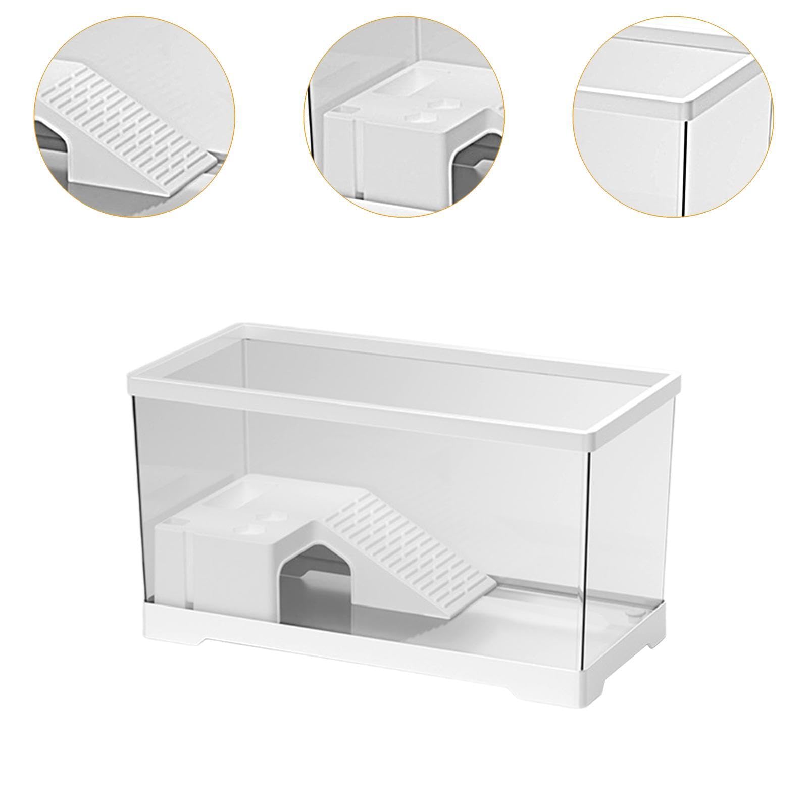Acuario Tortuga Terrario Recipiente Basking con de Alimentación Y Diseñado para Tortugas Terrapines Anfibios Y, Grande, Individual