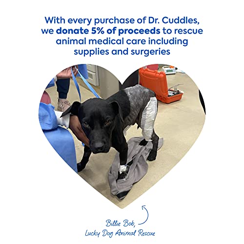 Dr. Cuddles Foaming Pet Dry Shampoo - Natural Botanicals & Deodorants For Fresh Smelling Fur On Dogs & Cats, Vet Formulated, Cleans & Conditions – Summer Pawty Scent #TOP4