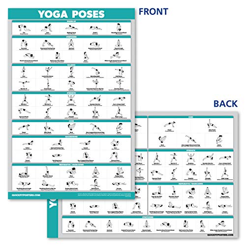 10 Pack - Exercise Workout Poster Set - Dumbbell, Suspension, Kettlebell, Resistance Bands, Stretching, Bodyweight, Barbell, Yoga Poses, Exercise Ball, Muscular System Chart (LAMINATED, 18