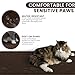 Andalus Large Cat Litter Mat, Pack of 2 - Waterproof, Non-Slip & Easy to Clean Cat Litter Box Mat for Extra Efficient Pet Litter-Trapping, Brown (30” X 18”)