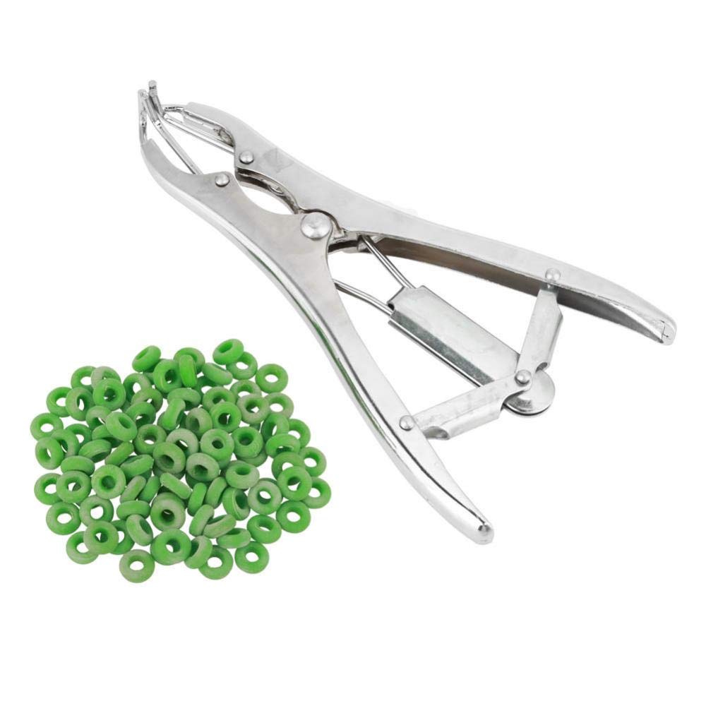 Buy HEEPDD Castration Plier Stainless Steel Livestock Castration ...