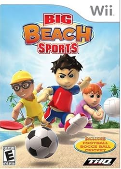 Video Game Big Beach Sports - Nintendo Wii Book