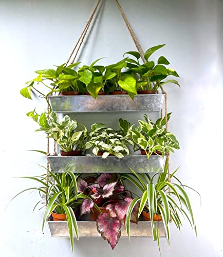 LaLaGreen Wall Hanging Planter - 16 Inch Indoor Wall Planters, 3 Tier Succulent Planters, Metal Silver Window Herb Garden Rectangle Hanging Vertical Plant Pot